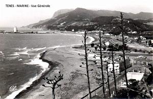 TENES-MARINE - VUE GENERALE